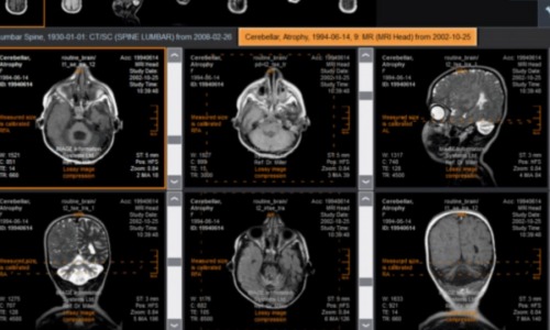 Oprogramowanie stacji lekarskich i diagnostycznych
